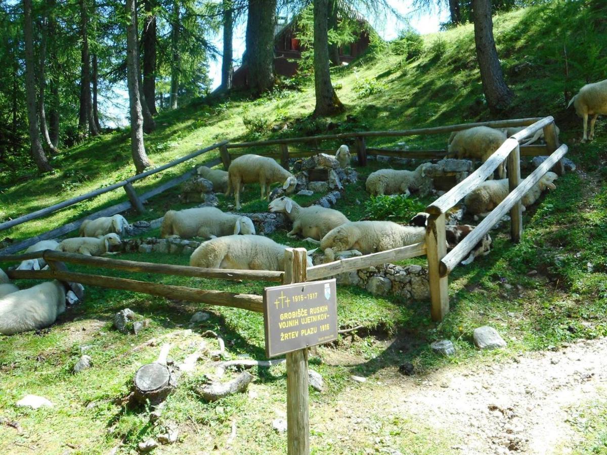 Erjavceva Mountain Hut At Vrsic Pass Otel Kranjska Gora Dış mekan fotoğraf