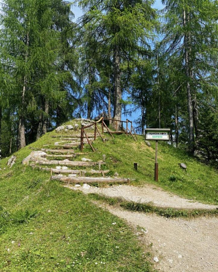 Erjavceva Mountain Hut At Vrsic Pass Otel Kranjska Gora Dış mekan fotoğraf